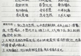 骆驼祥子段落摘抄加欣赏(骆驼祥子段落摘抄加欣赏AI)