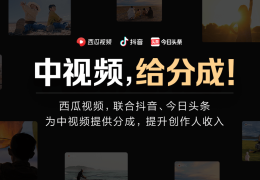 包含头条创作视频只有48小时内有收入吗的词条