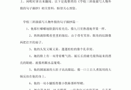 描写人物的好句摘抄大全集(描写人物好句好段摘抄大全优美)