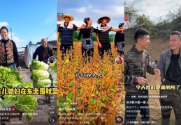 农村致富新项目业什么最赚钱农村(农村致富的一些项目,你都知道哪些呢)