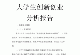 互联网大学生创业案例分析论文(互联网大学生创业论文3000字)