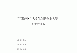 2021互联网创业项目计划书模板怎么写(2021互联网创业项目计划书模板怎么写好)