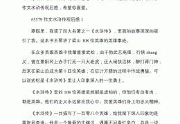 水浒传人物小传300字左右(水浒传人物小传300字左右宋江)