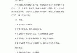 一万元创业项目计划书(2020年一万元创业项目)