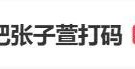 张陶事件上不了热搜(张陶事件怎么还没处理)
