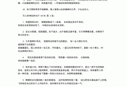 描写人物的优美句子不少于60字(描写人物的优美句子不少于60字左右)