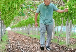 致富经2015年全集视频(致富经2016年全集视频播放)