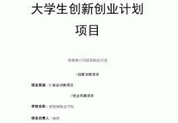 项目计划书如何写大学生(大学生项目计划书项目概述怎么写)