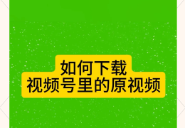 头条号原创视频怎么下载(头条号原创视频怎么下载不了)
