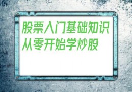 股票入门基础知识从零开始学炒股(炒股的基本知识和操作)