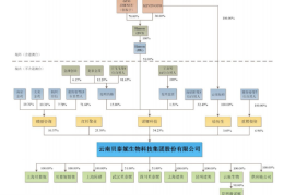 创客资本投资骗局揭秘(创客资本投资骗局揭秘视频)