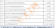 市重点项目什么级别(市重点项目有什么好处)