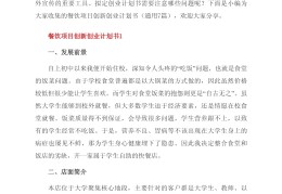 创新创业项目计划书20页(创新创业项目计划书百度文库)