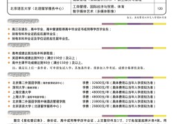 大学项目简介怎么写(大学生项目简介怎么写100)