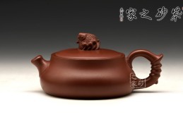陈志堂简历(陈志堂简历娄底)