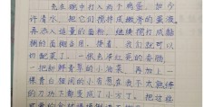小练笔写人物200字左右四年级上册(小练笔写人物200字左右四年级上册怎么写)
