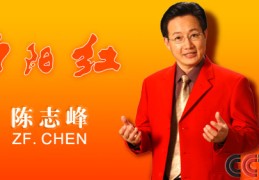 字节跳动公司陈志峰简历(字节跳动 陈志峰副总裁 2020)