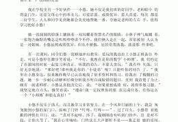 关于同学传记作文600字初二(写同学传记作文600字作文初二)
