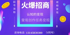 招商投资加盟项目(招商投资加盟项目有哪些)