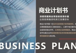 摆地摊的商业计划书(摆地摊商业计划书10000字)