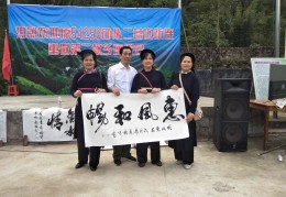 今日头条陈梅(今日头条ceo陈林简介)