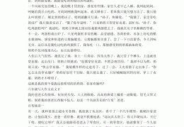 人物描写作文600(人物描写作文600字初中二年级)