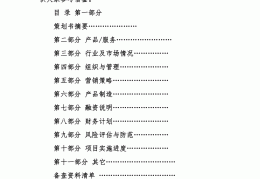 创新创业项目思路想法怎么写(创新创业项目思路想法怎么写的)
