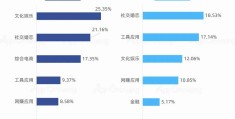 互联网+app项目(互联网+app项目计划书)
