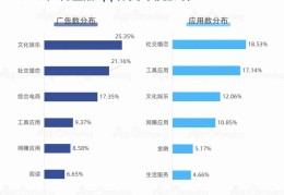 互联网+app项目(互联网+app项目计划书)