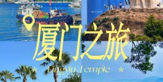 今日头条峰哥鼓浪屿的简单介绍