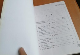 小型项目致富案例范文(小型项目致富案例范文大全)