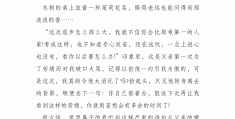同学传记作文800字左右(关于同学传记作文600字初二)