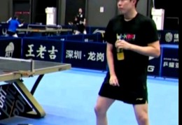 王楚钦人品(王楚钦哪儿人)