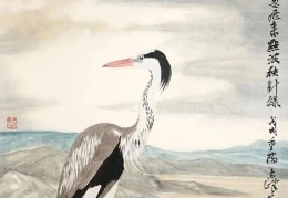 陈志峰年龄(陈志峰摄影作品)