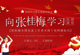 人物事迹张桂梅PPT(感动中国人物事迹张桂梅)