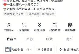 头条号优质创作者是什么(头条号优质创作者是什么意思)