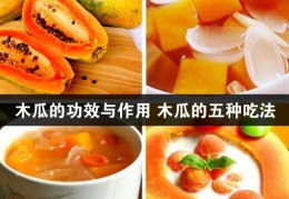 养生堂陈勇木瓜(北京卫视养生堂陈明教授全集视频)