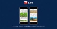 如何申请多个头条号账号(如何申请多个头条号账号和密码)