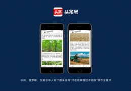 如何申请多个头条号账号(如何申请多个头条号账号和密码)