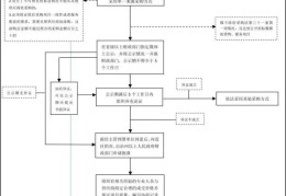 政府互联网项目招标流程(政府互联网项目招标流程图)