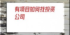 有项目如何找投资公司(有项目如何找投资人)