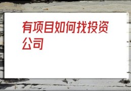 有项目如何找投资公司(有项目如何找投资人)