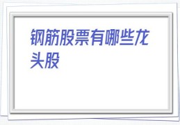 钢筋股票有哪些龙头股(钢铁最好的龙头股)