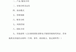 互联网+创业计划书例文(互联网+创业计划书模板范文 完整版)