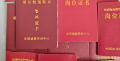 项目经理证属于什么证书(项目经理证属于什么证书类型)