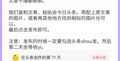 怎么利用头条发文章赚钱的方法(如何在头条发布文章,并获得收益)