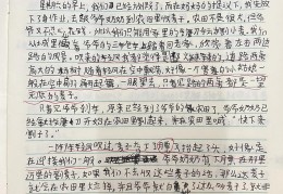 写人的作文评语批改大全(写人的作文评语批改大全怎么写)