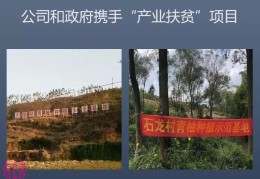 致富小农民小说免费阅读无弹窗(致富小农民小说免费阅读无弹窗下载)