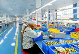 河北廊坊找工作到哪找?(河北廊坊找工作到哪找比较好)