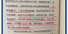 人物传记的人物特点(人物传记的人物特点怎么写)